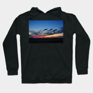 Ghost Riders in the Sky Hoodie